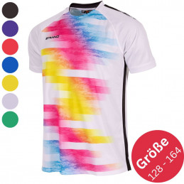 Stanno Holi Trikot II Kurzarm Junior