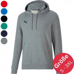 Puma teamgoal 23 Casuals Hoody