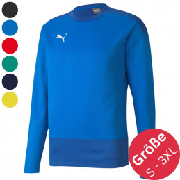 Puma teamgoal 23 Training Sweat