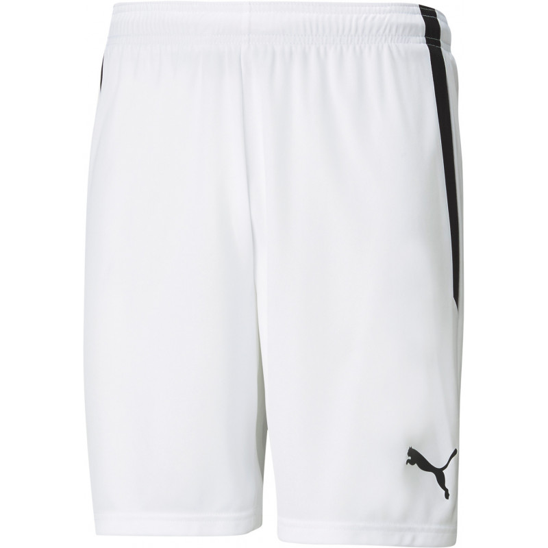 Puma teamLIGA Shorts