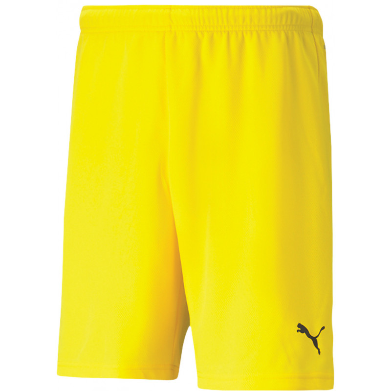 Puma teamRISE Shorts