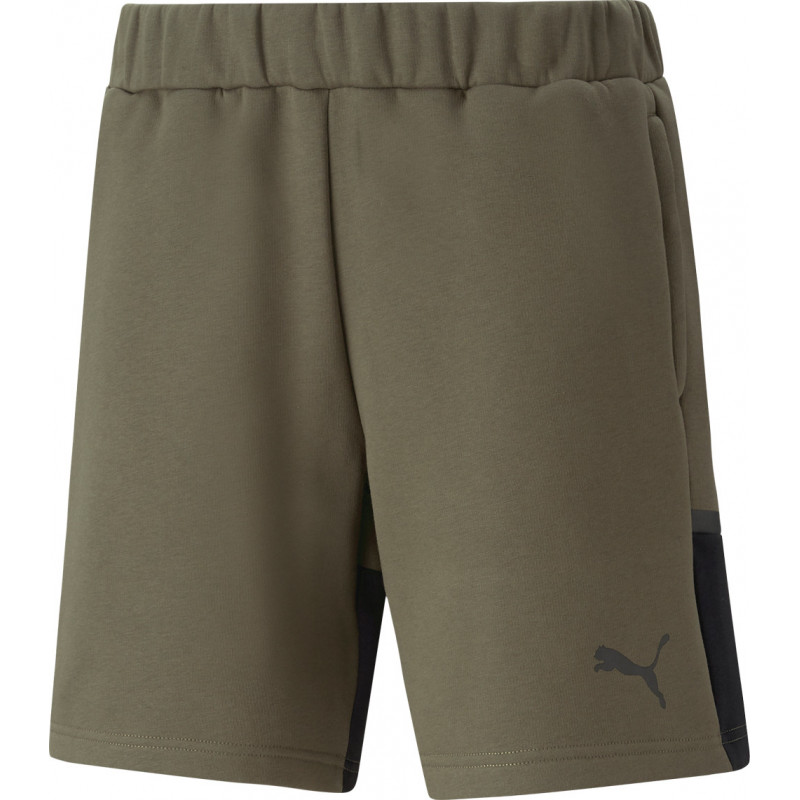 Puma teamFinal Shorts