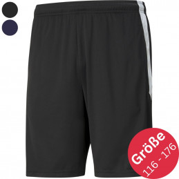 Puma teamLIGA Training Shorts Junior