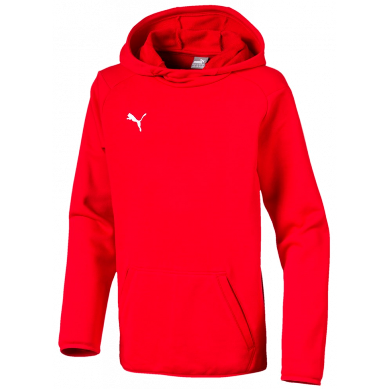 Puma Liga Casuals Hoody