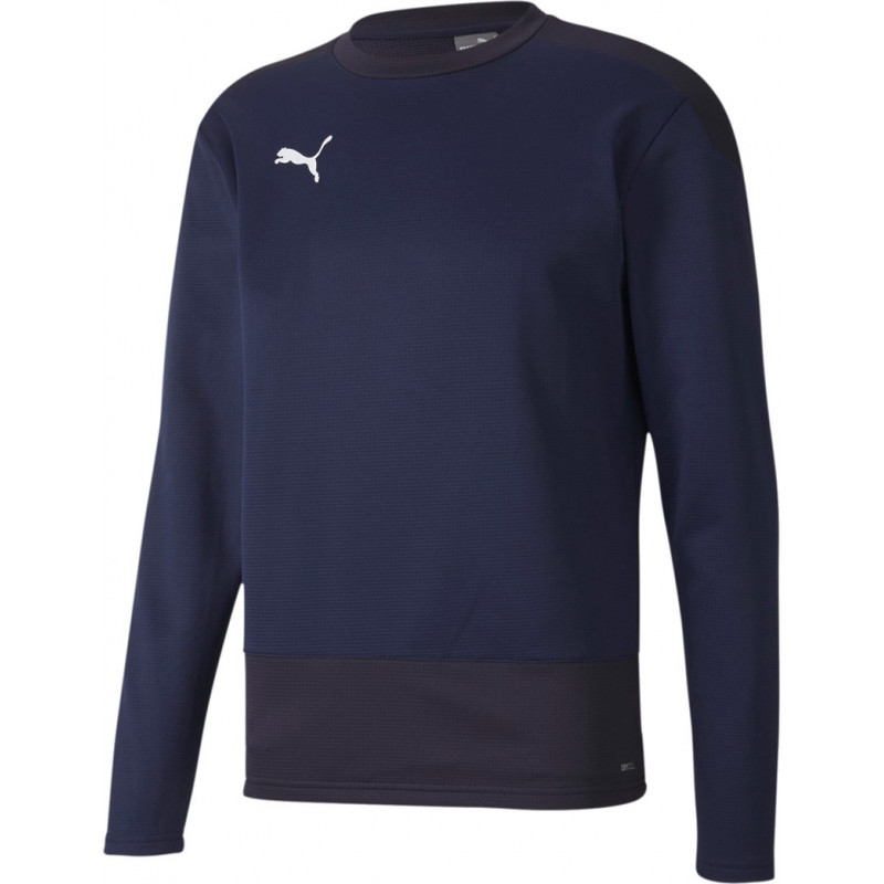 Puma teamgoal 23 Training Sweat