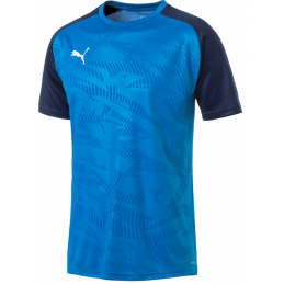 Puma Cup Training Jersey Core