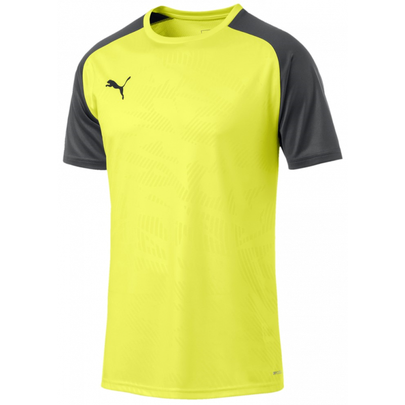 Puma Cup Training Jersey Core