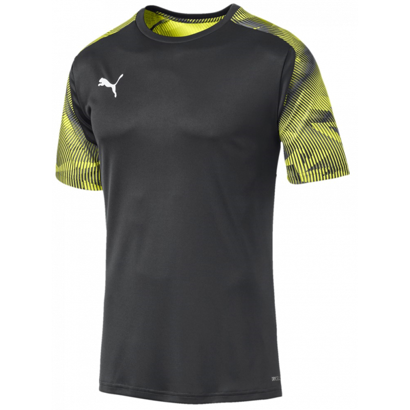 Puma Cup Training Jersey