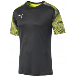 Puma Cup Training Jersey