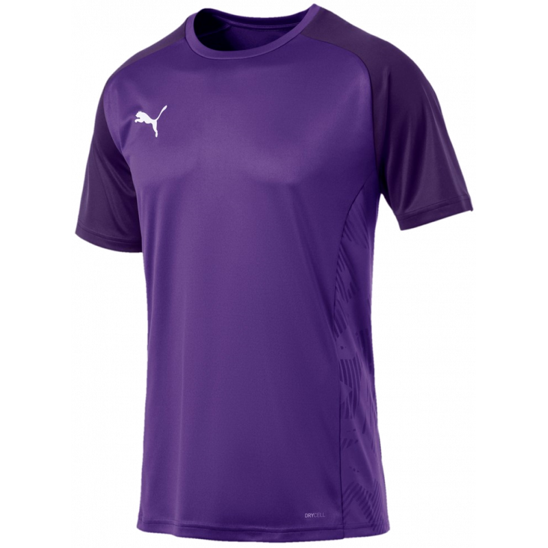 Puma CUP Sideline Tee Core