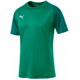 Puma CUP Sideline Tee Core