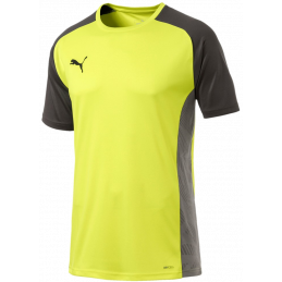 Puma CUP Sideline Tee Core