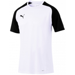 Puma Junior CUP Sideline Tee Core