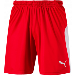 Puma Liga Junior Shorts...