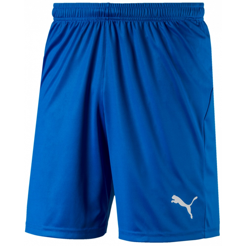 Puma Liga Shorts Core Kurze Sporthose für Sport und Freizeit