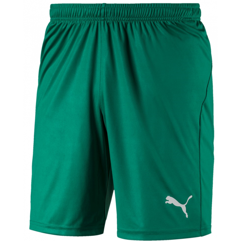 Puma Liga Shorts Core Kurze Sporthose für Sport und Freizeit