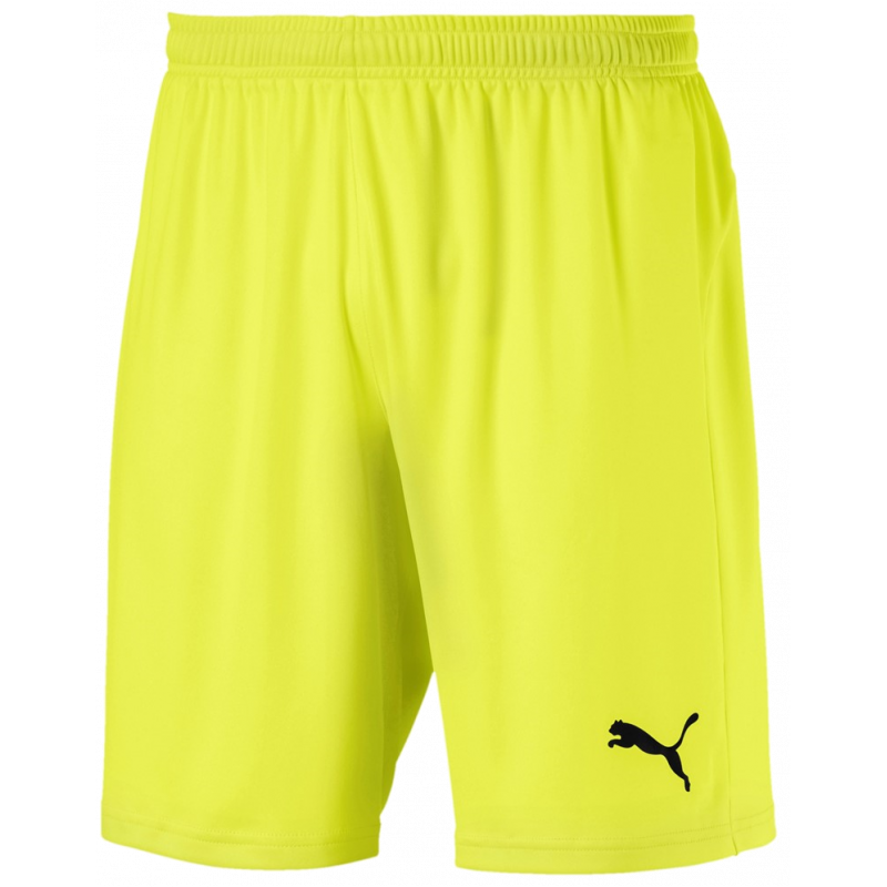 Puma Liga Shorts Core Kurze Sporthose für Sport und Freizeit