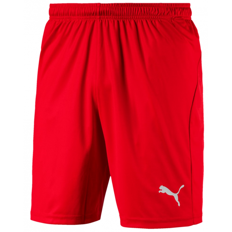 Puma Liga Junior Shorts Core Kurze Sporthose für Sport und Freizeit