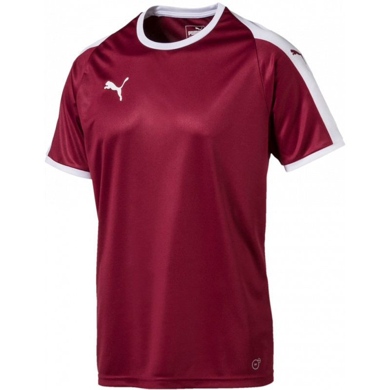 Puma Liga Junior Jersey Kurzarm Trikot