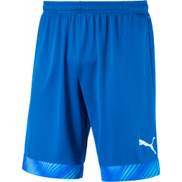 Puma Cup Shorts Kurze...