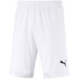 Puma Cup Junior Shorts...