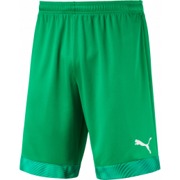 Puma Cup Junior Shorts...