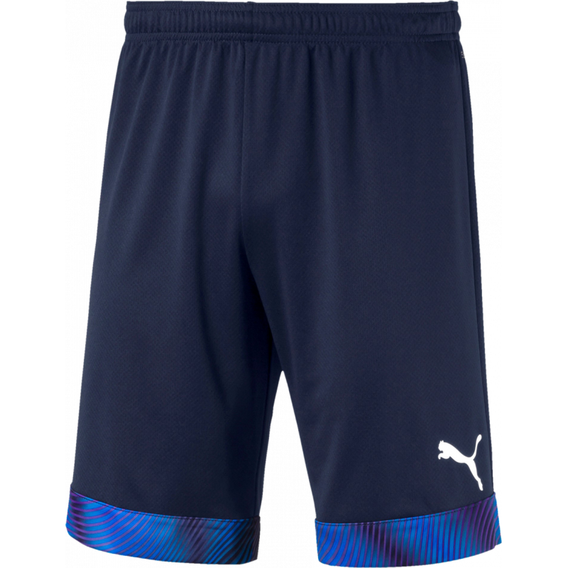 Puma Cup Junior Shorts Kurze Sporthose