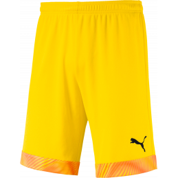 Puma Cup Junior Shorts...