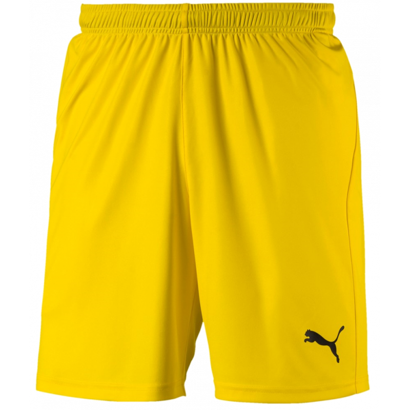 Puma Liga Junior Shorts Core Kurze Sporthose für Sport und Freizeit