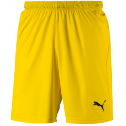 Puma Liga Junior Shorts Core Kurze Sporthose für Sport und Freizeit