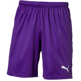 Puma Liga Junior Shorts Core Kurze Sporthose für Sport und Freizeit