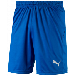 Puma Liga Shorts Core Kurze...