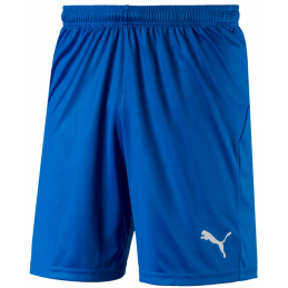 Puma Liga Junior Shorts Core with Brief Kurze Sporthose mit Innenslipp