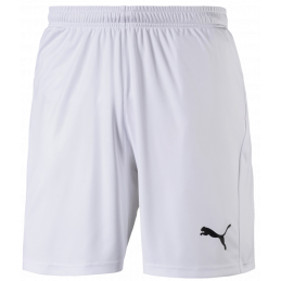 Puma Liga Junior Shorts Core with Brief Kurze Sporthose mit Innenslipp