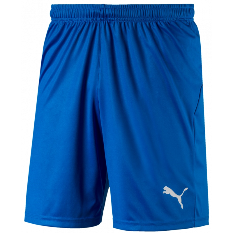 Puma Liga Junior Shorts Core with Brief Kurze Sporthose mit Innenslipp