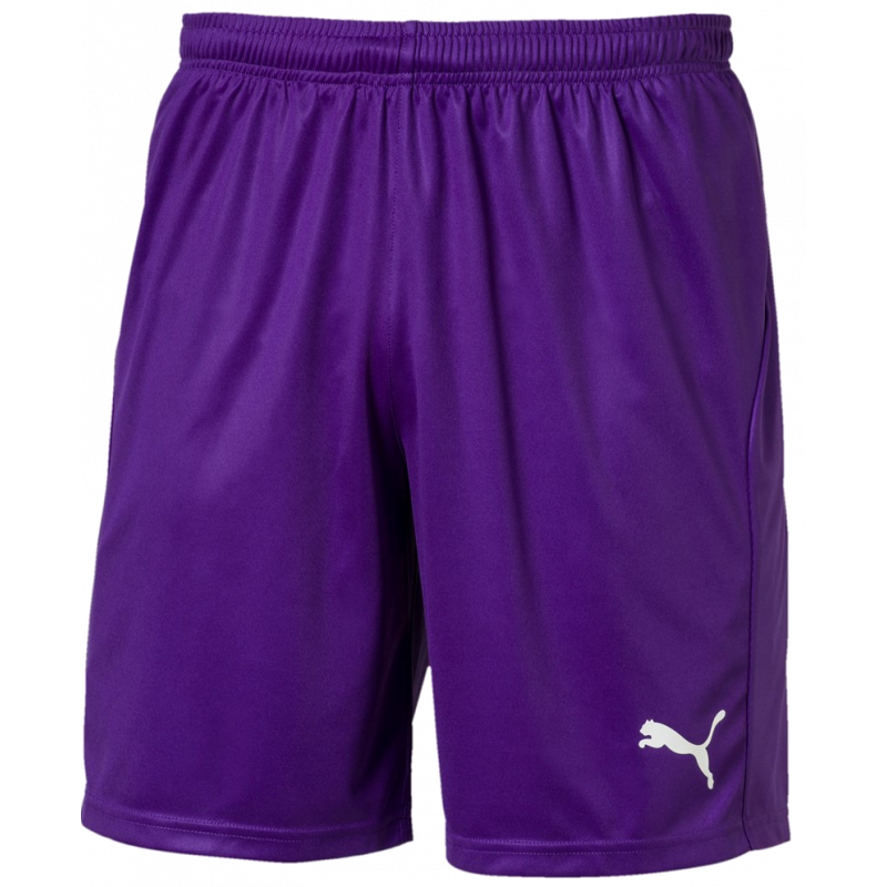 Puma Liga Junior Shorts Core with Brief Kurze Sporthose mit Innenslipp