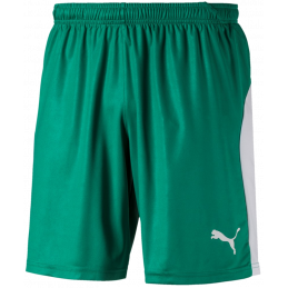 Puma Liga Junior Shorts Kurze Sporthose für Sport und Freizeit