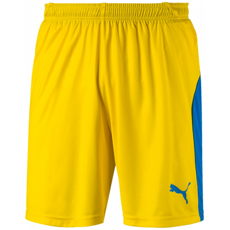 Puma Liga Junior Shorts Kurze Sporthose für Sport und Freizeit