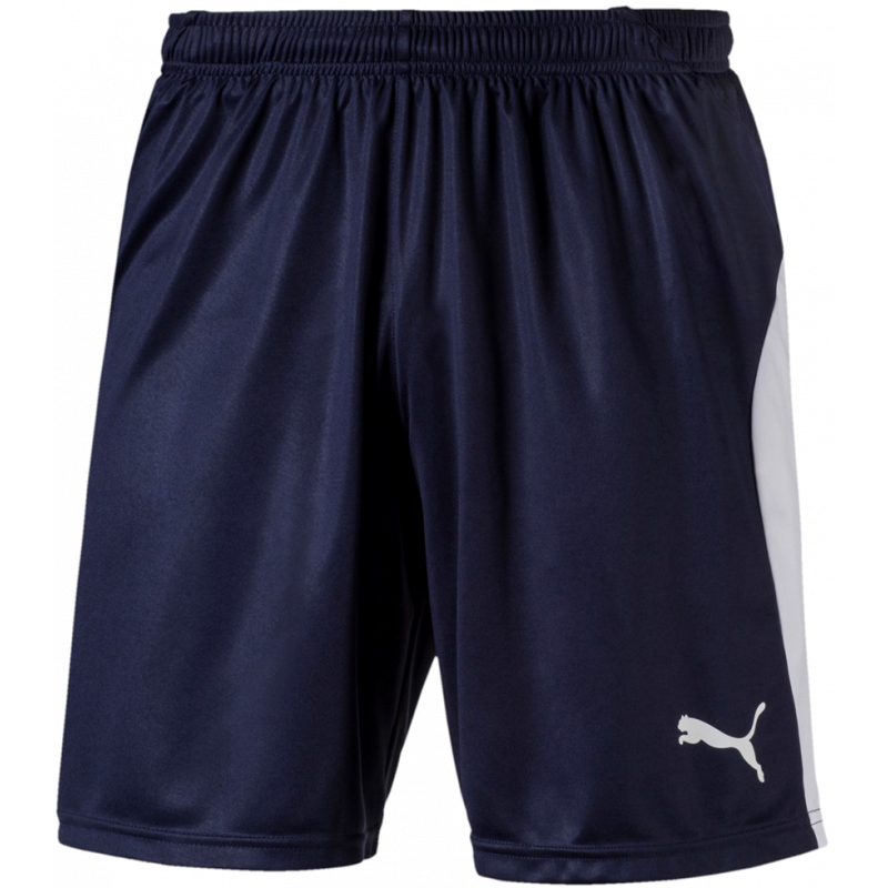 Puma Liga Junior Shorts Kurze Sporthose für Sport und Freizeit