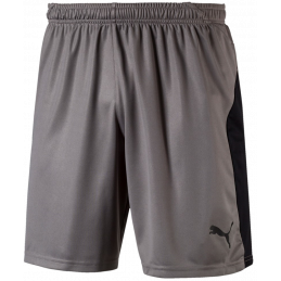 Puma Liga Junior Shorts...