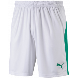 Puma Liga Junior Shorts...