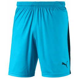 Puma Liga Junior Shorts Kurze Sporthose für Sport und Freizeit