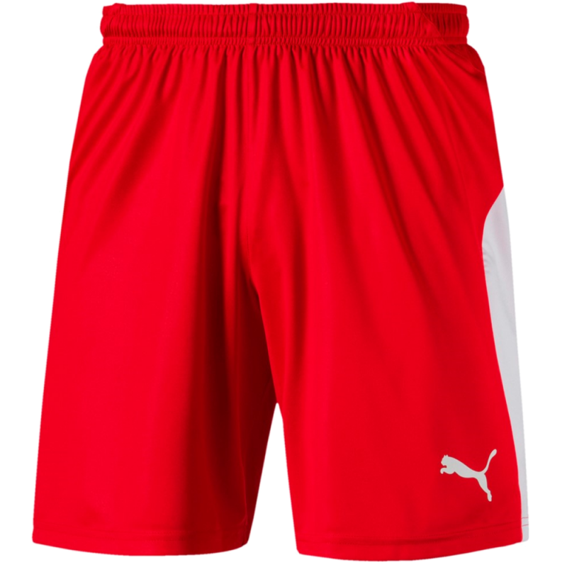 Puma Liga Shorts Kurze Sporthose für Sport und Freizeit