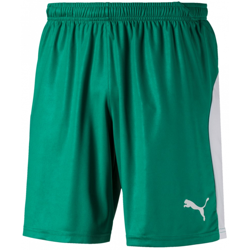 Puma Liga Shorts Kurze Sporthose für Sport und Freizeit