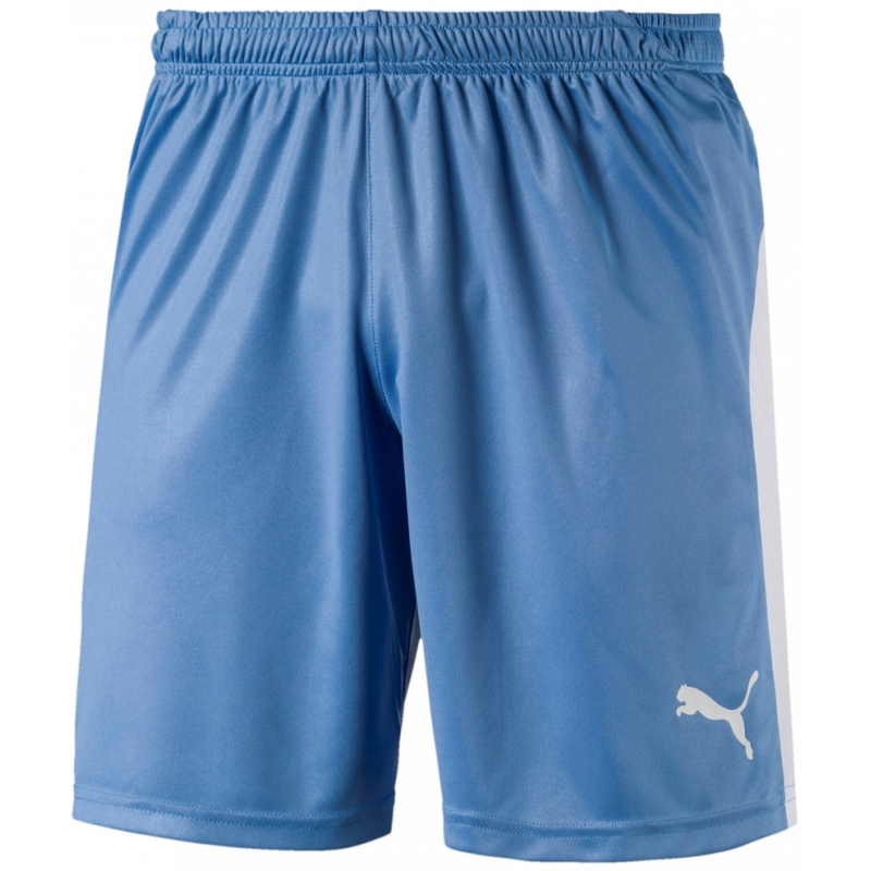 Puma Liga Shorts Kurze Sporthose für Sport und Freizeit